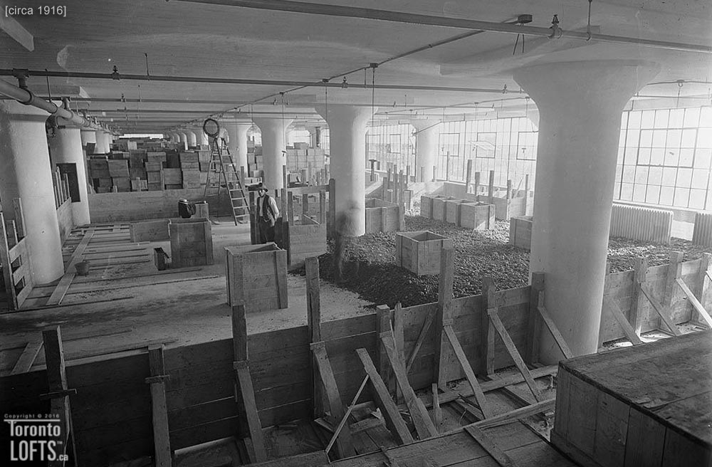 Merchandise Lofts